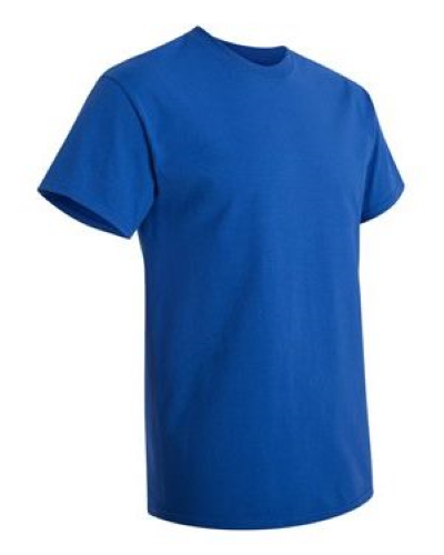 2000 | Gildan Ultra Cotton T-Shirt | Embroidered