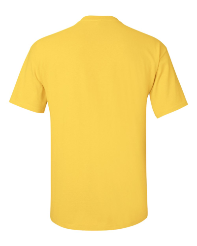 2000 | Gildan Ultra Cotton T-Shirt | Embroidered