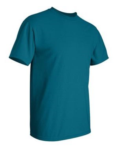 2000 | Gildan Ultra Cotton T-Shirt | Embroidered