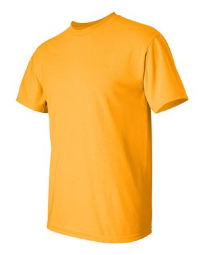 2000 | Gildan Ultra Cotton T-Shirt | Embroidered