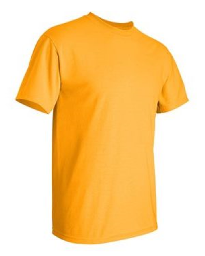 2000 | Gildan Ultra Cotton T-Shirt | Embroidered