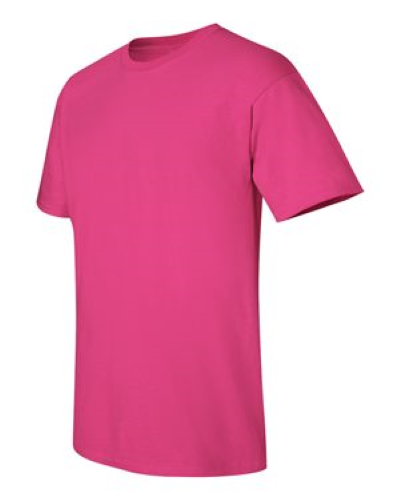 2000 | Gildan Ultra Cotton T-Shirt | Embroidered