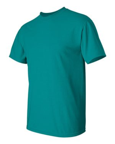 2000 | Gildan Ultra Cotton T-Shirt | Embroidered