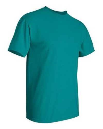 2000 | Gildan Ultra Cotton T-Shirt | Embroidered