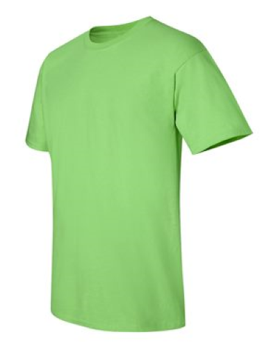 2000 | Gildan Ultra Cotton T-Shirt | Embroidered