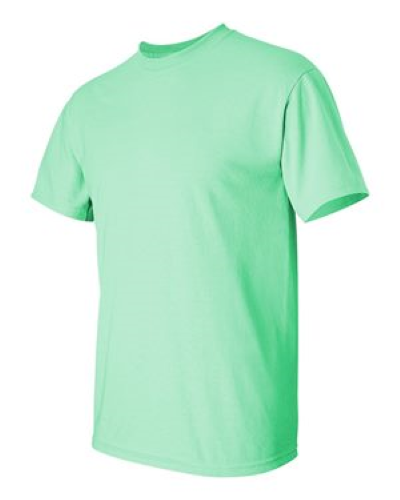 2000 | Gildan Ultra Cotton T-Shirt | Embroidered