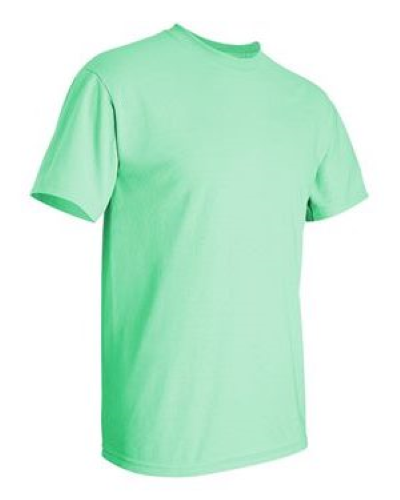 2000 | Gildan Ultra Cotton T-Shirt | Embroidered