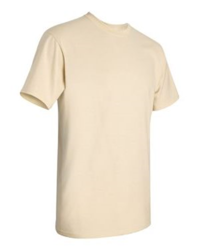 2000 | Gildan Ultra Cotton T-Shirt | Embroidered
