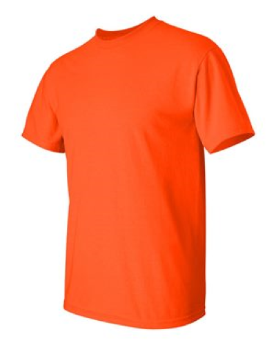 2000 | Gildan Ultra Cotton T-Shirt | Embroidered