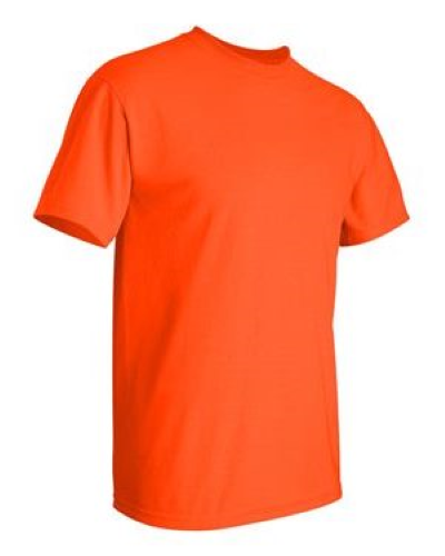 2000 | Gildan Ultra Cotton T-Shirt | Embroidered