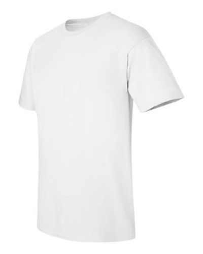 2000 | Gildan Ultra Cotton T-Shirt | Embroidered