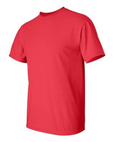 2000 | Gildan Ultra Cotton T-Shirt | Embroidered