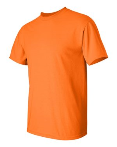 2000 | Gildan Ultra Cotton T-Shirt | Embroidered