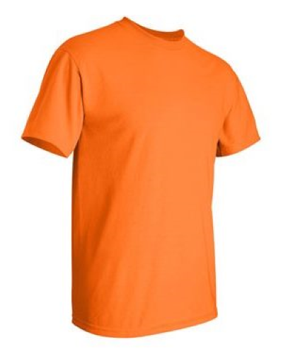 2000 | Gildan Ultra Cotton T-Shirt | Embroidered