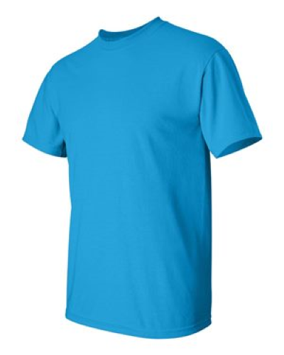 2000 | Gildan Ultra Cotton T-Shirt | Embroidered