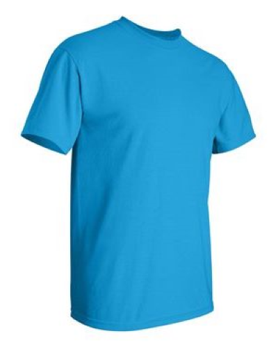 2000 | Gildan Ultra Cotton T-Shirt | Embroidered