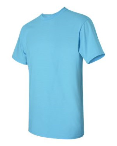 2000 | Gildan Ultra Cotton T-Shirt | Embroidered