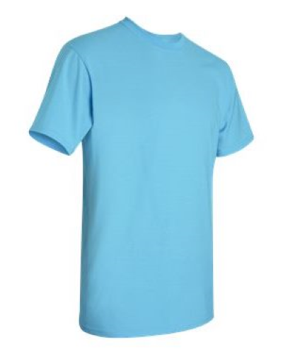 2000 | Gildan Ultra Cotton T-Shirt | Embroidered