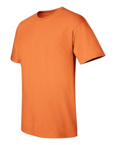 2000 | Gildan Ultra Cotton T-Shirt | Embroidered