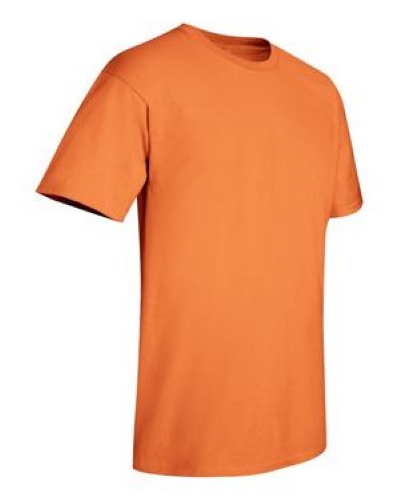 2000 | Gildan Ultra Cotton T-Shirt | Embroidered