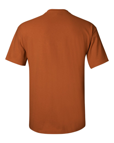 2000 | Gildan Ultra Cotton T-Shirt | Embroidered