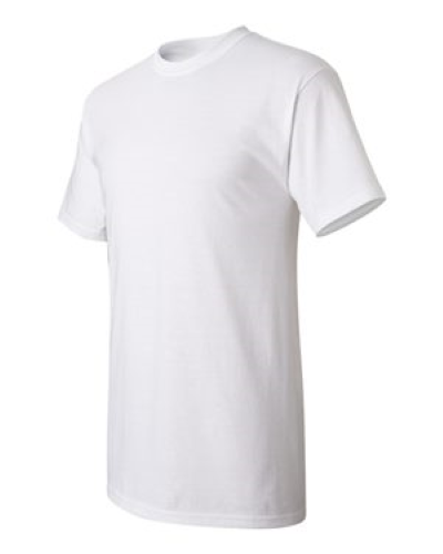 2000 | Gildan Ultra Cotton T-Shirt | Embroidered