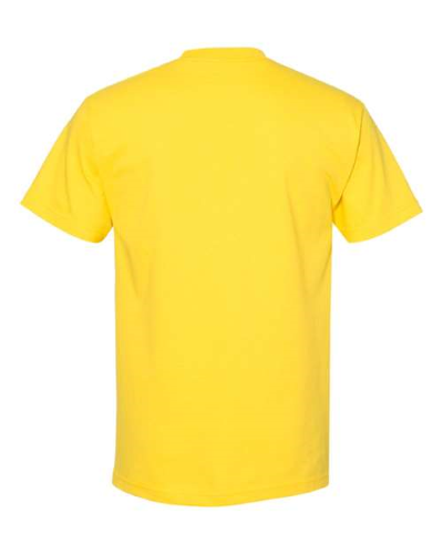 1301 | American Apparel Heavyweight Cotton T-Shirt | Embroidered